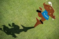 Klicken Sie hier, um das große Bild anzusehen: Kasimir Kids Golf; Bildquelle: www.reiters-hotel.com