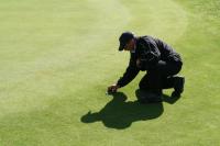 Klicken Sie hier, um das große Bild anzusehen: Carnoustie Greenkeeper mit der Schere; Bildquelle: golf-treff.at