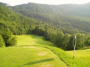 Klicken Sie hier, um das große Bild anzusehen: GC Semmering Loch3; Bildquelle: golf-treff.at