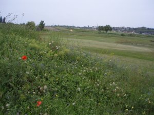 Klicken Sie hier, um das große Bild anzusehen: Csarda Golf Neusiedl; Bildquelle: www.golf-treff.at