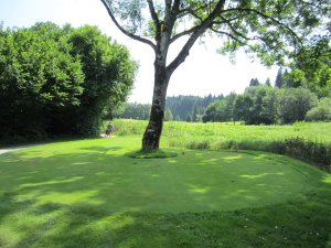 Klicken Sie hier, um das große Bild anzusehen: Golfclub Velden Köstenberg; Bildquelle: www.golf-treff.at