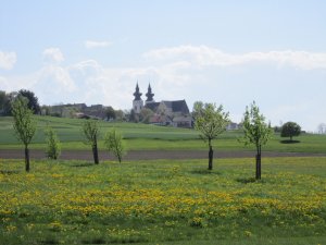 Klicken Sie hier, um das große Bild anzusehen: Golfclub Maria Taferl; Bildquelle: www.golf-treff.at