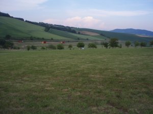 Klicken Sie hier, um das große Bild anzusehen: Golfclub Neulengbach; Bildquelle: www,golf-treff.at
