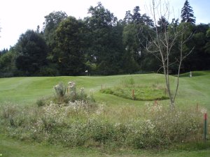 Klicken Sie hier, um das große Bild anzusehen: Niederösterreichischer Golfclub St.Pölten; Bildquelle: golf-treff.at