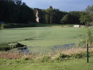 Klicken Sie hier, um das große Bild anzusehen: Niederösterreichischer Golfclub St.Pölten; Bildquelle: www.golf-treff.at