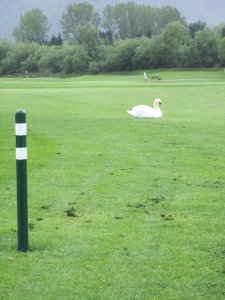 Klicken Sie hier, um das große Bild anzusehen: Golfclub Am Mondsee; Bildquelle: www.golf-treff.at