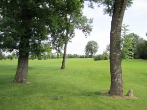 Klicken Sie hier, um das große Bild anzusehen: Golfclub Stärk Linz Pichling; Bildquelle: www.golf-treff.at