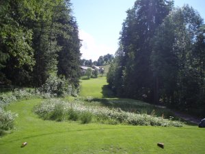 Klicken Sie hier, um das große Bild anzusehen: Golfclub Goldegg; Bildquelle: golf-treff.at