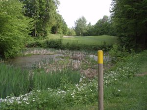 Klicken Sie hier, um das große Bild anzusehen: Golfclub Bad Gleichenberg; Bildquelle: www.golf-treff.at