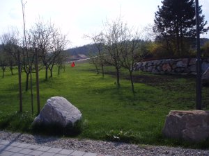 Klicken Sie hier, um das große Bild anzusehen: Golf beim Reiß in Volkersdorf; Bildquelle: golf-treff.at