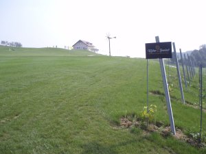 Klicken Sie hier, um das große Bild anzusehen: Traminergolf Klöch; Bildquelle: golf-treff.at
