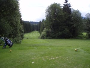 Klicken Sie hier, um das große Bild anzusehen: Kaiserwinkl Golf Kössen; Bildquelle: www.golf-treff.at