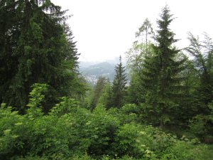 Klicken Sie hier, um das große Bild anzusehen: Golfclub Berchtesgaden; Bildquelle: www.golf-treff.at