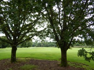 Klicken Sie hier, um das große Bild anzusehen: Golfclub Maxlrain; Bildquelle: www.golf-treff.at