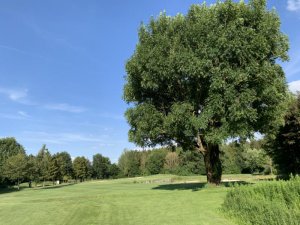 Klicken Sie hier, um das große Bild anzusehen: Golfclub München Eichenried; Bildquelle: www.golf-treff.at