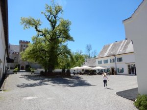 Klicken Sie hier, um das große Bild anzusehen: Golfclub Schloss Igling; Bildquelle: www.golf-treff.at