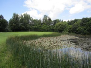 Klicken Sie hier, um das große Bild anzusehen: Golfclub Wörthsee; Bildquelle: www.golf-treff.at