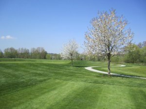 Klicken Sie hier, um das große Bild anzusehen: Golfresort Bad Griesbach - Beckenbauer Course; Bildquelle: www.golf-treff.at