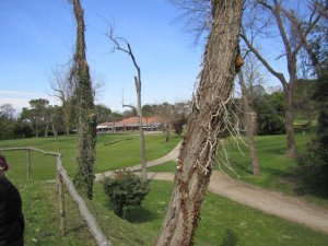 Klicken Sie hier, um das große Bild anzusehen: Circolo Golf Venezia; Bildquelle: www.golf-treff.at