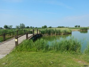 Klicken Sie hier, um das große Bild anzusehen: Golf Club Grado; Bildquelle: www.golf-treff.at
