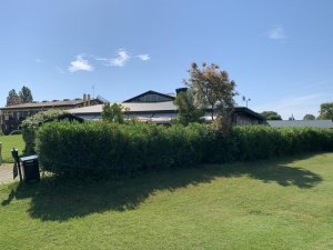 Klicken Sie hier, um das große Bild anzusehen: Golf Club Lignano; Bildquelle: www.golf-treff.at