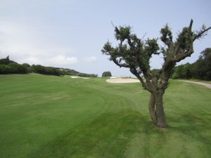 Klicken Sie hier, um das große Bild anzusehen: Pevero Golf Club; Bildquelle: www.golf-treff.at