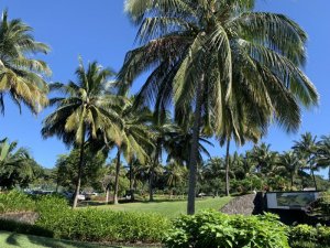 Klicken Sie hier, um das große Bild anzusehen: Anahita Golf Mauritius; Bildquelle: www.golf-treff.at