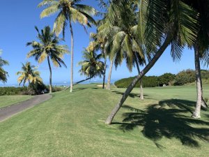 Klicken Sie hier, um das große Bild anzusehen: Anahita Golf Mauritius; Bildquelle: www.golf-treff.at