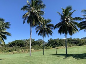 Klicken Sie hier, um das große Bild anzusehen: Anahita Golf Mauritius; Bildquelle: www.golf-treff.at