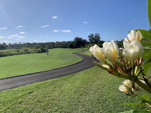 Klicken Sie hier, um das große Bild anzusehen: Anahita Golf Mauritius; Bildquelle: www.golf-treff.at