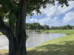 Klicken Sie hier, um das große Bild anzusehen: Constance Golf Legend Course Mauritius; Bildquelle: www.golf-treff.at