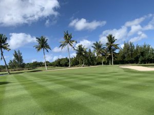 Klicken Sie hier, um das große Bild anzusehen: Constance Golf Legend Course Mauritius; Bildquelle: www.golf-treff.at