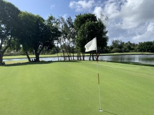 Klicken Sie hier, um das große Bild anzusehen: Constance Golf Legend Course Mauritius; Bildquelle: www.golf-treff.at