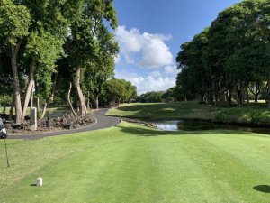 Klicken Sie hier, um das große Bild anzusehen: Constance Golf Legend Course Mauritius; Bildquelle: www.golf-treff.at