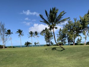 Klicken Sie hier, um das große Bild anzusehen: Ile aux Cerfs Golf; Bildquelle: www.golf-treff.at