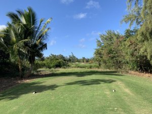 Klicken Sie hier, um das große Bild anzusehen: Ile aux Cerfs Golf; Bildquelle: www.golf-treff.at