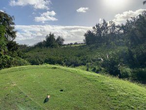 Klicken Sie hier, um das große Bild anzusehen: Ile aux Cerfs Golf; Bildquelle: www.golf-treff.at