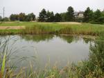 Klicken Sie hier, um das große Bild anzusehen: Golfrange Achau; Bildquelle: golf-treff.at