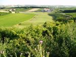 Klicken Sie hier, um das große Bild anzusehen: GC Veltlinerland Poysdorf; Bildquelle: golf-treff.at