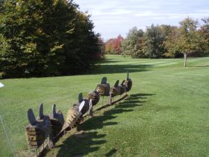 Klicken Sie hier, um das große Bild anzusehen: GC Klopeinersee; Bildquelle: golf-treff.at