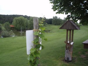 Klicken Sie hier, um das große Bild anzusehen: Golfclub Lengenfeld; Bildquelle: golf-treff.at