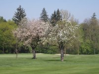 Klicken Sie hier, um das große Bild anzusehen: Golfclub Schloss Schönborn; Bildquelle: www.golf-treff.at