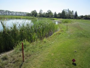 Klicken Sie hier, um das große Bild anzusehen: Golfclub Guntramsdorf; Bildquelle: www.golf-treff.at