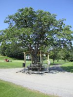 Klicken Sie hier, um das große Bild anzusehen: Golfclub Velden Köstenberg; Bildquelle: www.golf-treff.at