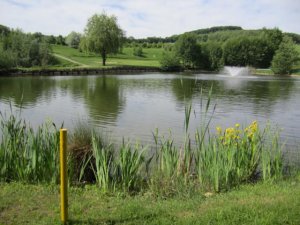 Klicken Sie hier, um das große Bild anzusehen: Golfclub Breitenfurt; Bildquelle: www.golf-treff.at