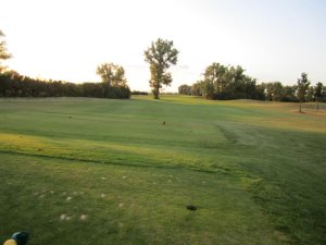 Klicken Sie hier, um das große Bild anzusehen: Golfrange Schwechat; Bildquelle: www.golf-treff.at