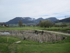 Klicken Sie hier, um das große Bild anzusehen: Golf & Country Club Schloss Pichlarn; Bildquelle: www.golf-treff.at