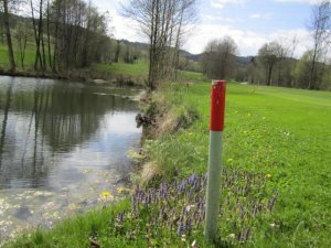 Klicken Sie hier, um das große Bild anzusehen: Robinson Golfclub Ampflwang; Bildquelle: www.golf-treff.at
