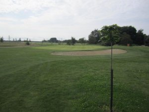 Klicken Sie hier, um das große Bild anzusehen: Sonnengolf; Bildquelle: www.golf-treff.at