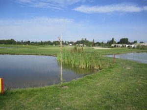 Klicken Sie hier, um das große Bild anzusehen: Sonnengolf; Bildquelle: www.golf-treff.at